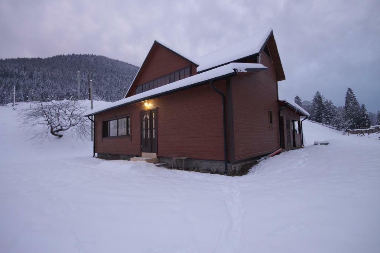 Ozdoba Villa Verkhovyna Ngoại thất bức ảnh