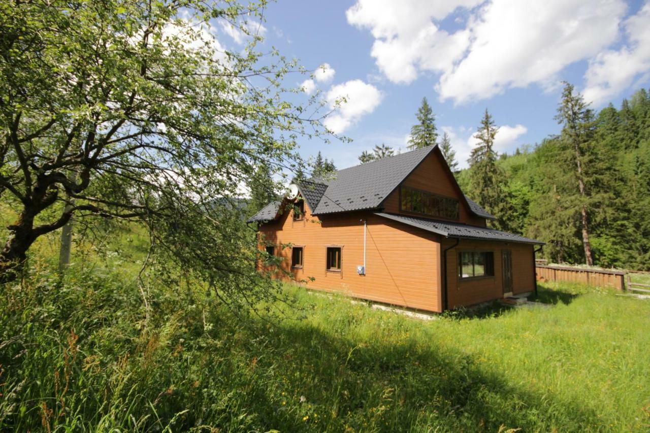 Ozdoba Villa Verkhovyna Ngoại thất bức ảnh
